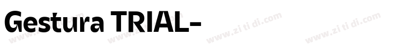 Gestura TRIAL字体转换